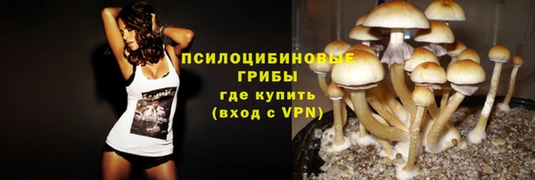 спайс Беломорск