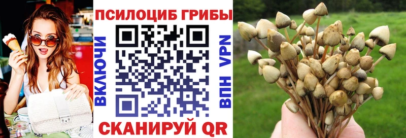 Галлюциногенные грибы прущие грибы  omg зеркало  Красноуфимск 